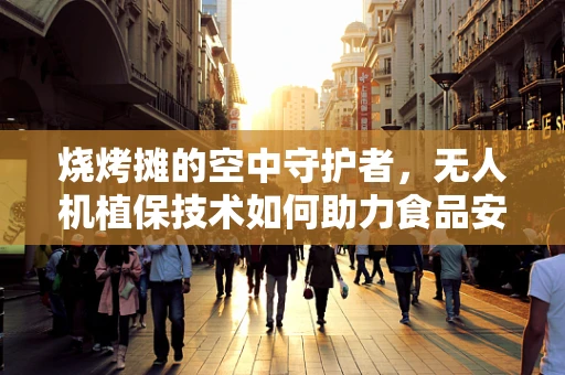 烧烤摊的空中守护者，无人机植保技术如何助力食品安全？
