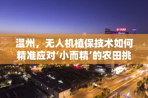温州，无人机植保技术如何精准应对‘小而精’的农田挑战？