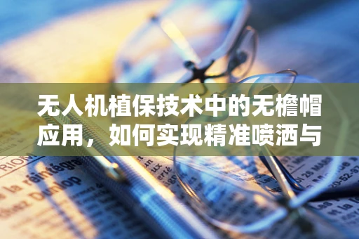 无人机植保技术中的无檐帽应用，如何实现精准喷洒与避障？