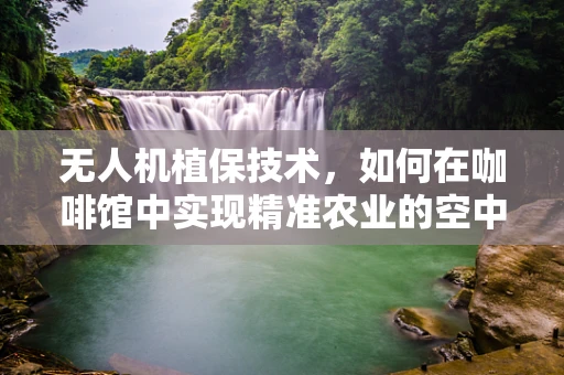 无人机植保技术，如何在咖啡馆中实现精准农业的空中之舞？