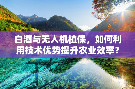 白酒与无人机植保，如何利用技术优势提升农业效率？