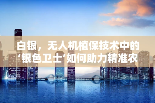 白银，无人机植保技术中的‘银色卫士’如何助力精准农业？