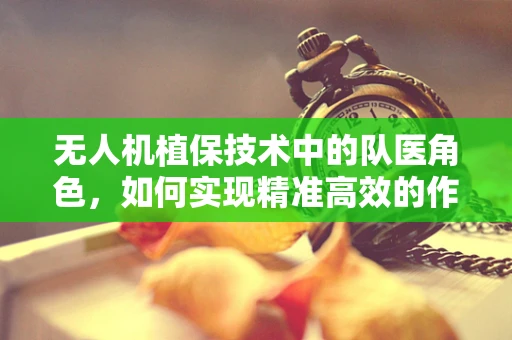 无人机植保技术中的队医角色，如何实现精准高效的作物健康监测？