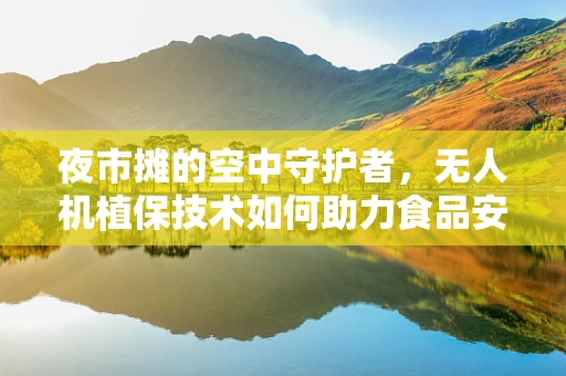 夜市摊的空中守护者，无人机植保技术如何助力食品安全与卫生？