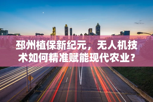 邳州植保新纪元，无人机技术如何精准赋能现代农业？