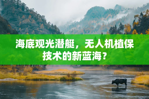 海底观光潜艇，无人机植保技术的新蓝海？