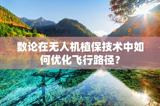 数论在无人机植保技术中如何优化飞行路径？