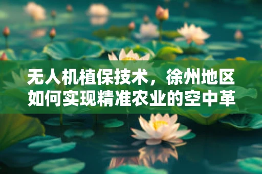 无人机植保技术，徐州地区如何实现精准农业的空中革命？