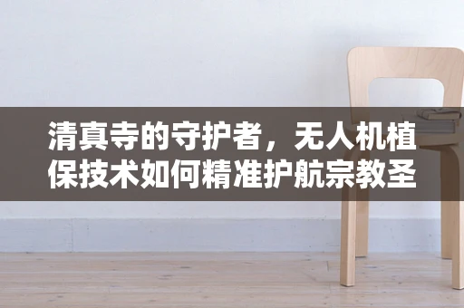清真寺的守护者，无人机植保技术如何精准护航宗教圣地？
