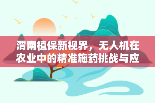 渭南植保新视界，无人机在农业中的精准施药挑战与应对