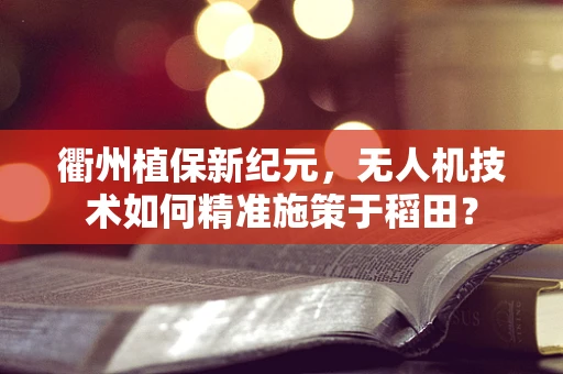 衢州植保新纪元，无人机技术如何精准施策于稻田？