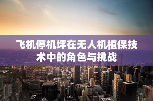 飞机停机坪在无人机植保技术中的角色与挑战