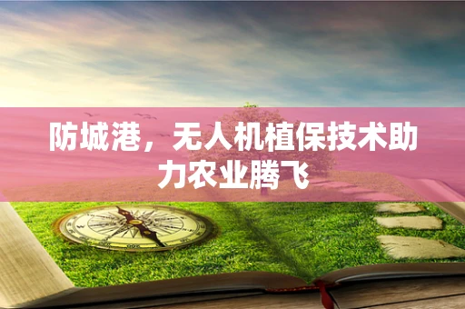 防城港，无人机植保技术助力农业腾飞