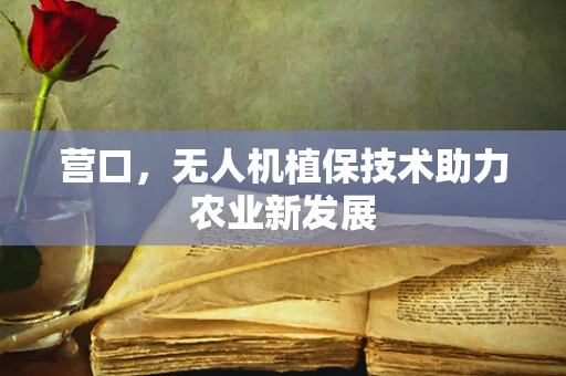 营口，无人机植保技术助力农业新发展