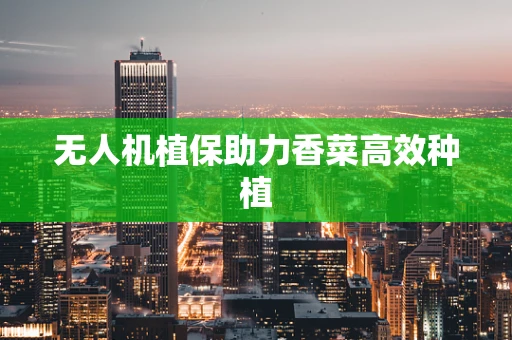无人机植保助力香菜高效种植