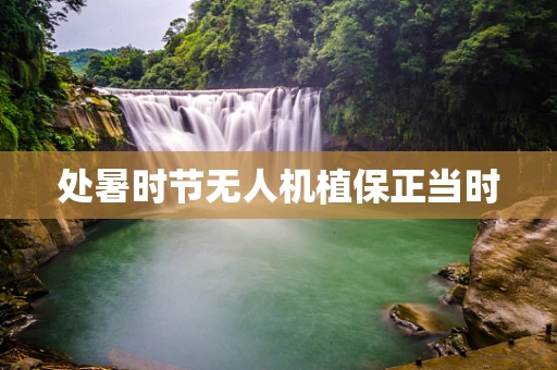 处暑时节无人机植保正当时