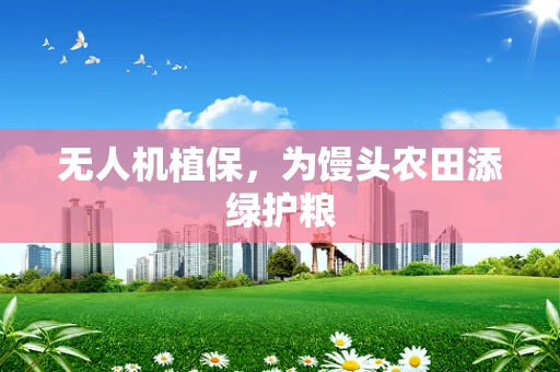 无人机植保，为馒头农田添绿护粮