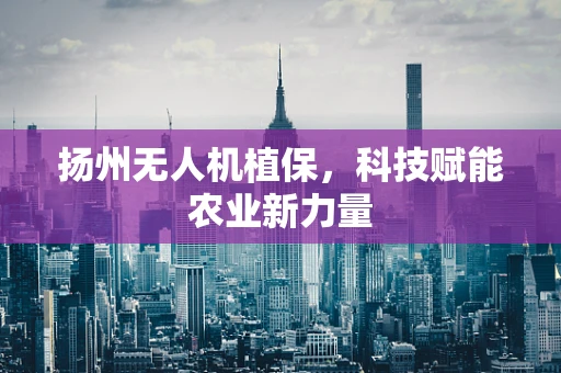 扬州无人机植保，科技赋能农业新力量