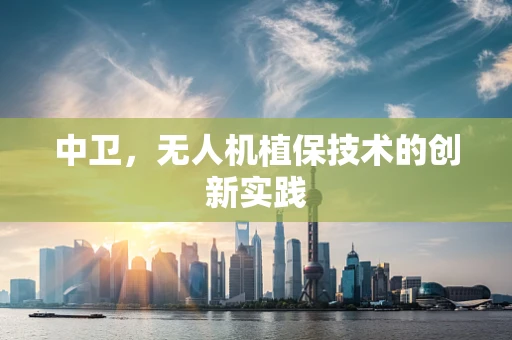 中卫，无人机植保技术的创新实践