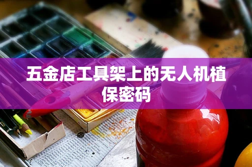 五金店工具架上的无人机植保密码