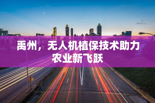 禹州，无人机植保技术助力农业新飞跃
