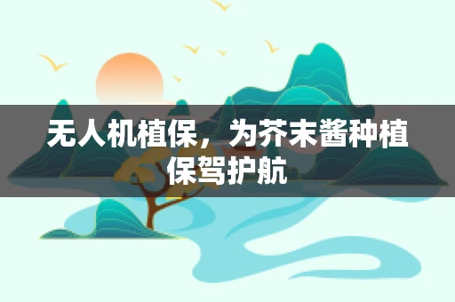 无人机植保，为芥末酱种植保驾护航