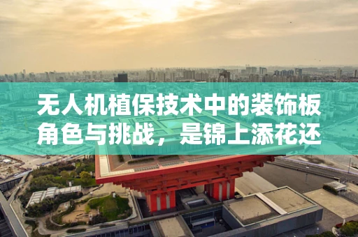 无人机植保技术中的装饰板角色与挑战，是锦上添花还是必要之选？