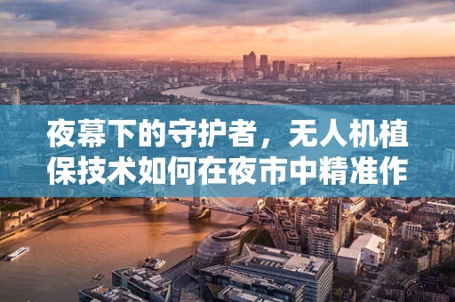 夜幕下的守护者，无人机植保技术如何在夜市中精准作业？