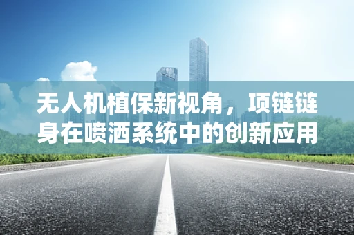 无人机植保新视角，项链链身在喷洒系统中的创新应用