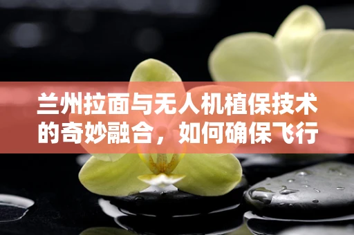 兰州拉面与无人机植保技术的奇妙融合，如何确保飞行中的精准投喂？