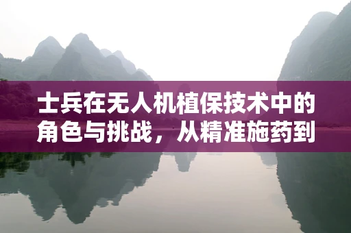 士兵在无人机植保技术中的角色与挑战，从精准施药到高效监测的桥梁
