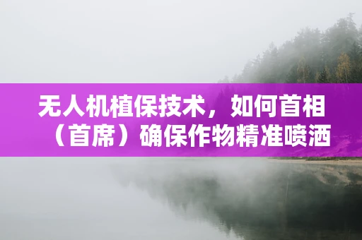 无人机植保技术，如何首相（首席）确保作物精准喷洒？