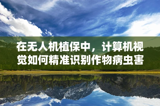 在无人机植保中，计算机视觉如何精准识别作物病虫害？