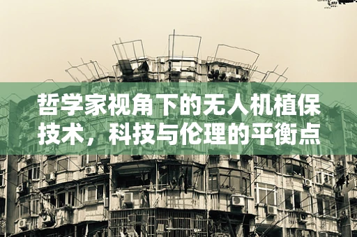 哲学家视角下的无人机植保技术，科技与伦理的平衡点何在？