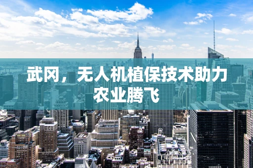 武冈，无人机植保技术助力农业腾飞