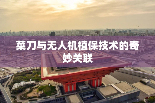 菜刀与无人机植保技术的奇妙关联