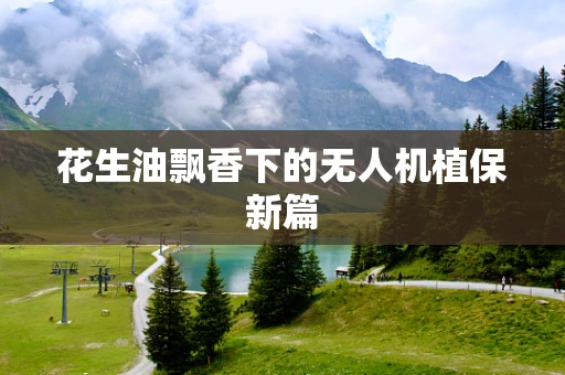 花生油飘香下的无人机植保新篇