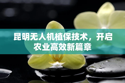 昆明无人机植保技术，开启农业高效新篇章