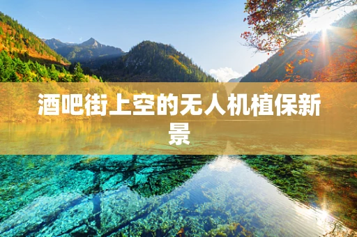 酒吧街上空的无人机植保新景
