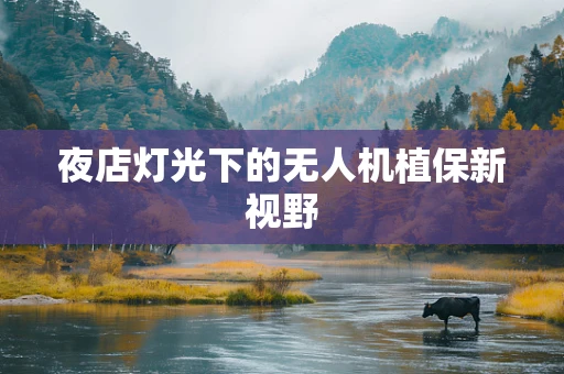 夜店灯光下的无人机植保新视野