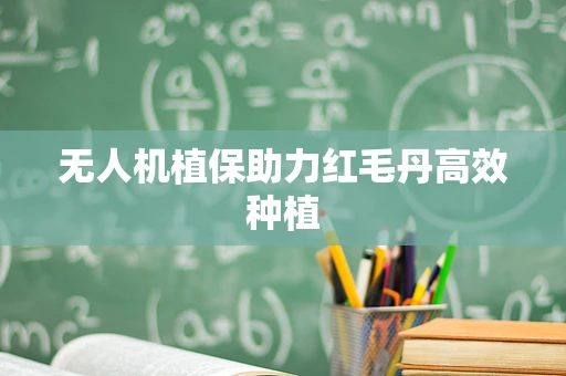 无人机植保助力红毛丹高效种植