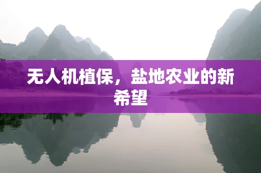 无人机植保，盐地农业的新希望