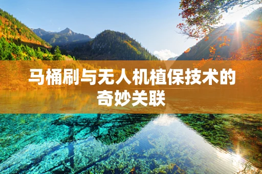 马桶刷与无人机植保技术的奇妙关联