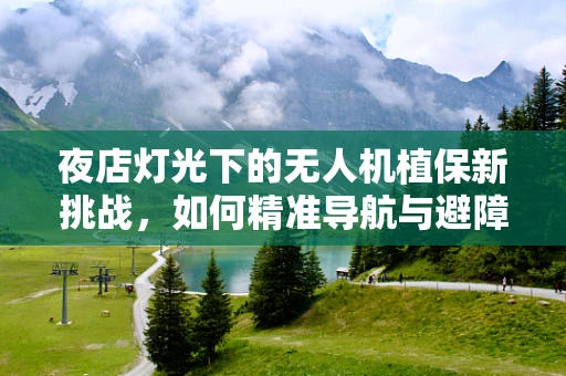 夜店灯光下的无人机植保新挑战，如何精准导航与避障？