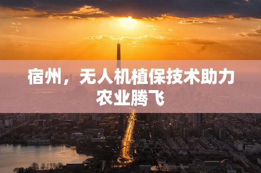 宿州，无人机植保技术助力农业腾飞
