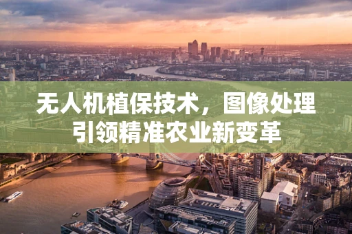 无人机植保技术，图像处理引领精准农业新变革