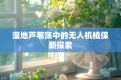 湿地芦苇荡中的无人机植保新探索