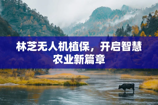 林芝无人机植保，开启智慧农业新篇章
