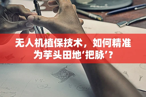无人机植保技术，如何精准为芋头田地‘把脉’？