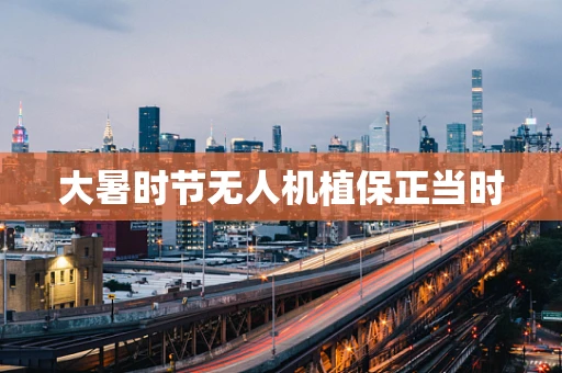 大暑时节无人机植保正当时